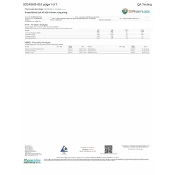 PDF Preview