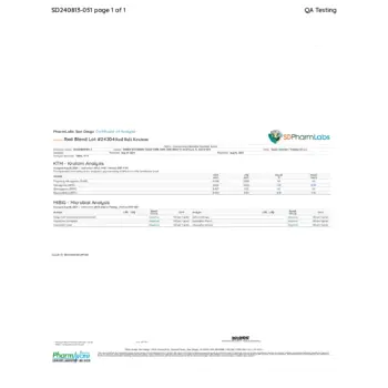 PDF Preview
