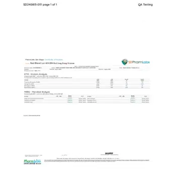 PDF Preview