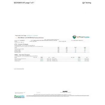 PDF Preview