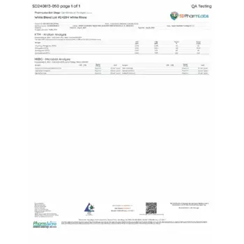 PDF Preview