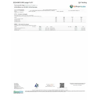 PDF Preview