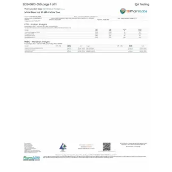 PDF Preview